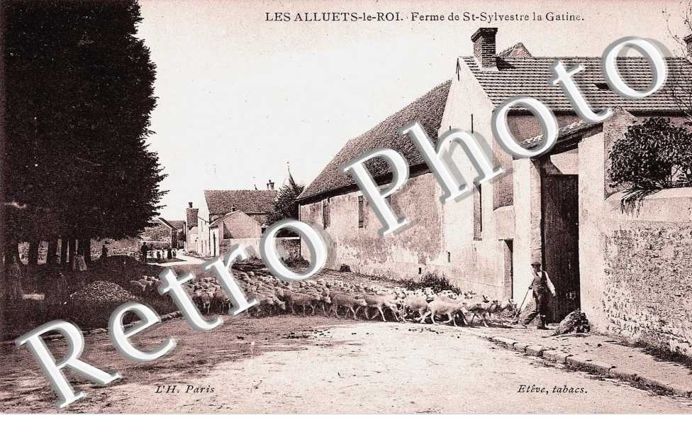 Ferme de St Sylvestre la Gatine