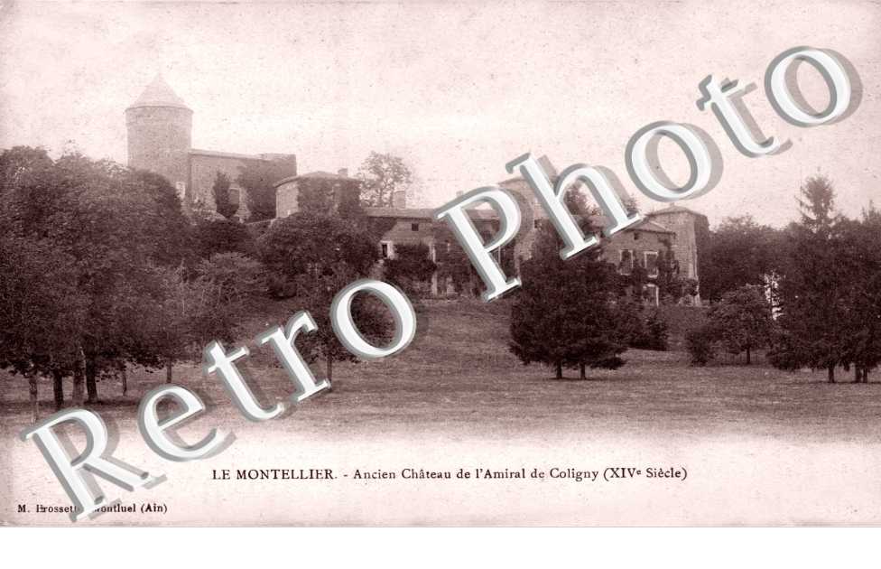 Ancien Chateau de l'Amiral de Coligny (XIVeme siecle)
