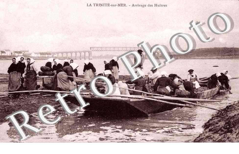 ARRIVAGE DES HUITRES