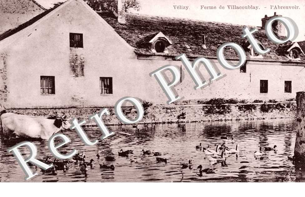 Ferme de Villacoublay- L'abreuvoir