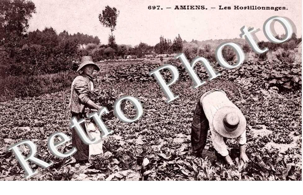 Les hortillonages
