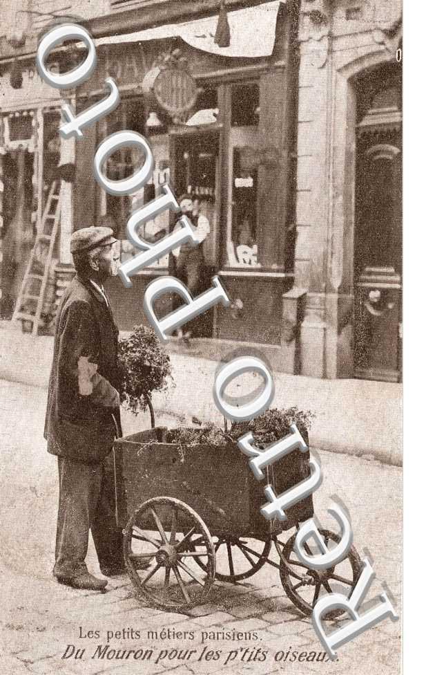 LES PETITS METIERS DU MOURON POURS LES PETITS OISEAUX