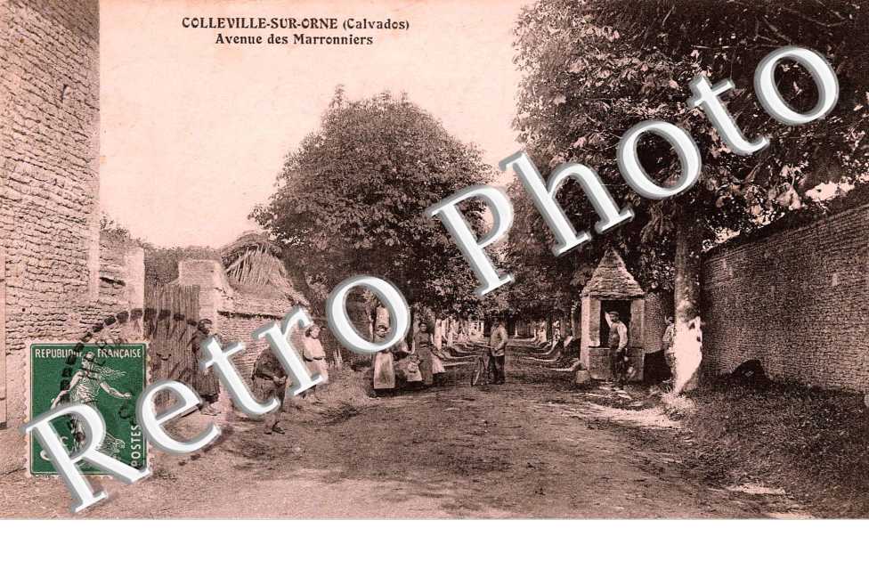 avenue des Marronniers