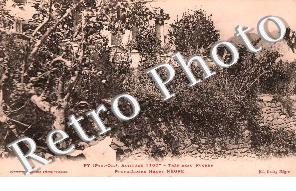 tres beau rucher, proprietaire Henry Negre