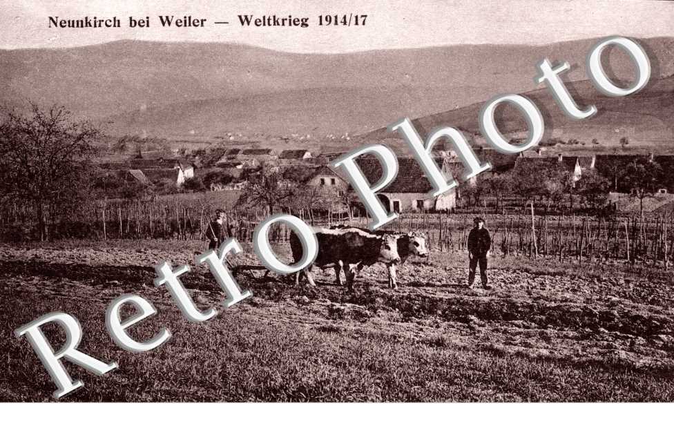 Weltkrieg