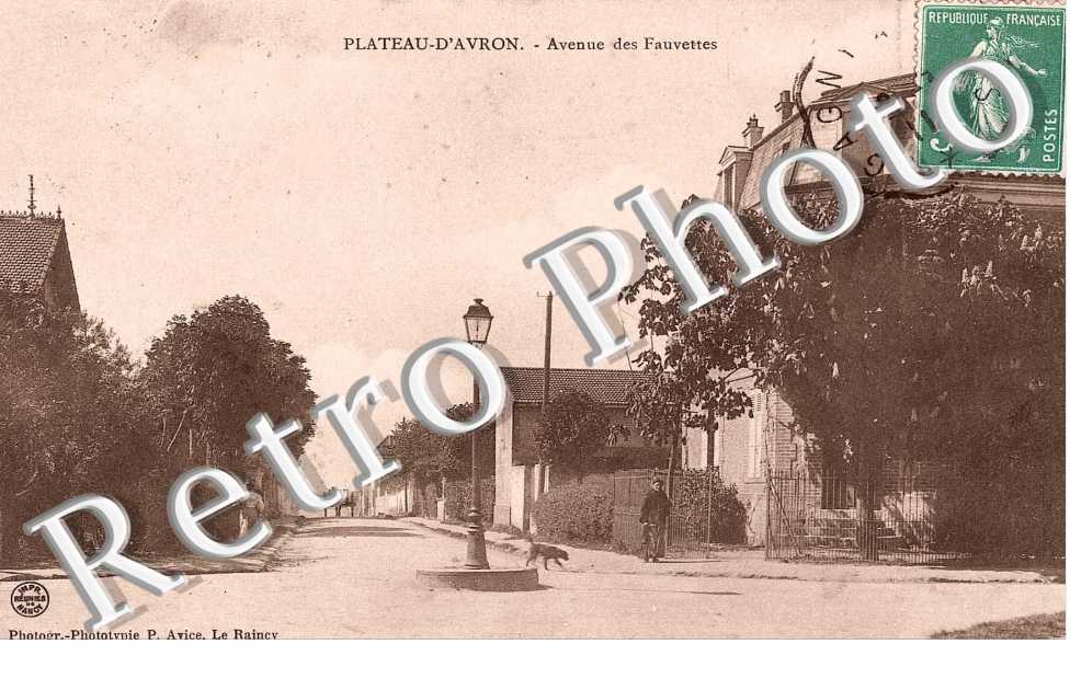 Plateau d'Avron, Avenue des Fauvettes