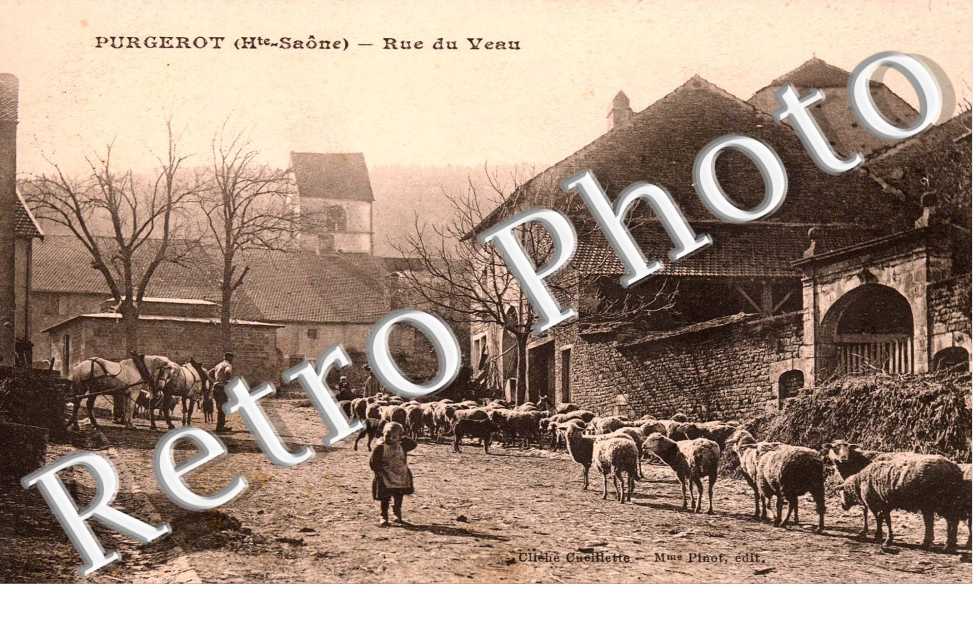 Rue de Veau