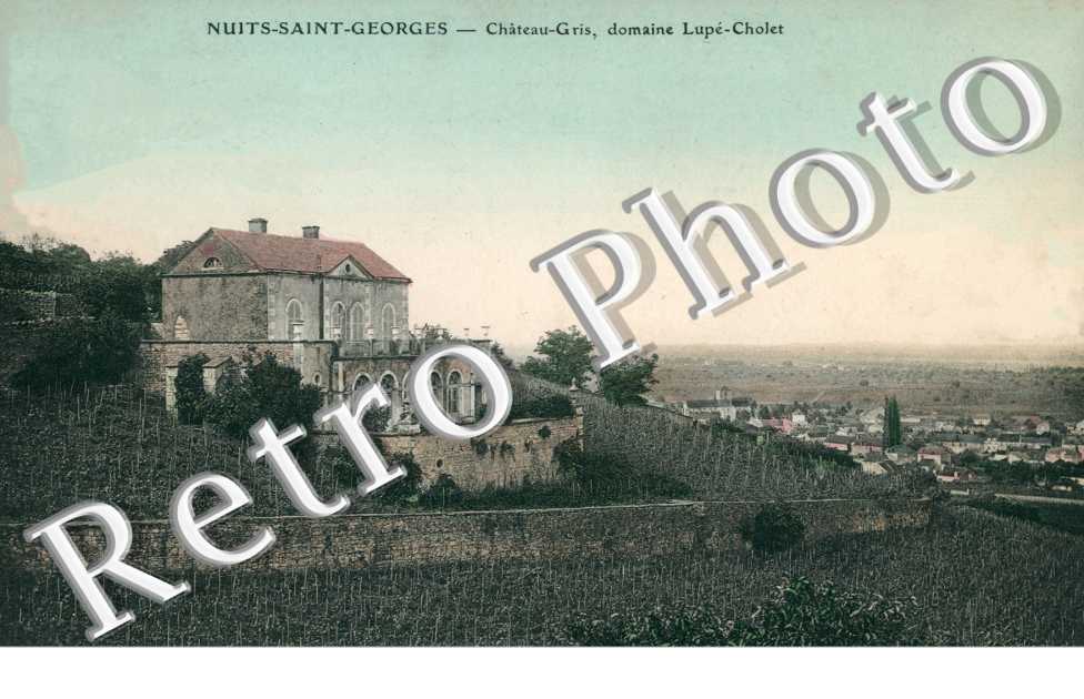 Château-Gris, domaine Lupé-Cholet