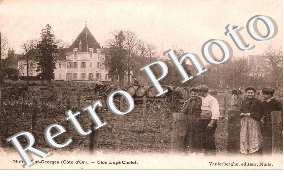 Clos Lupe Cholet