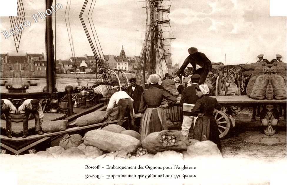 EMBARQUEMENT DES OIGNONS 