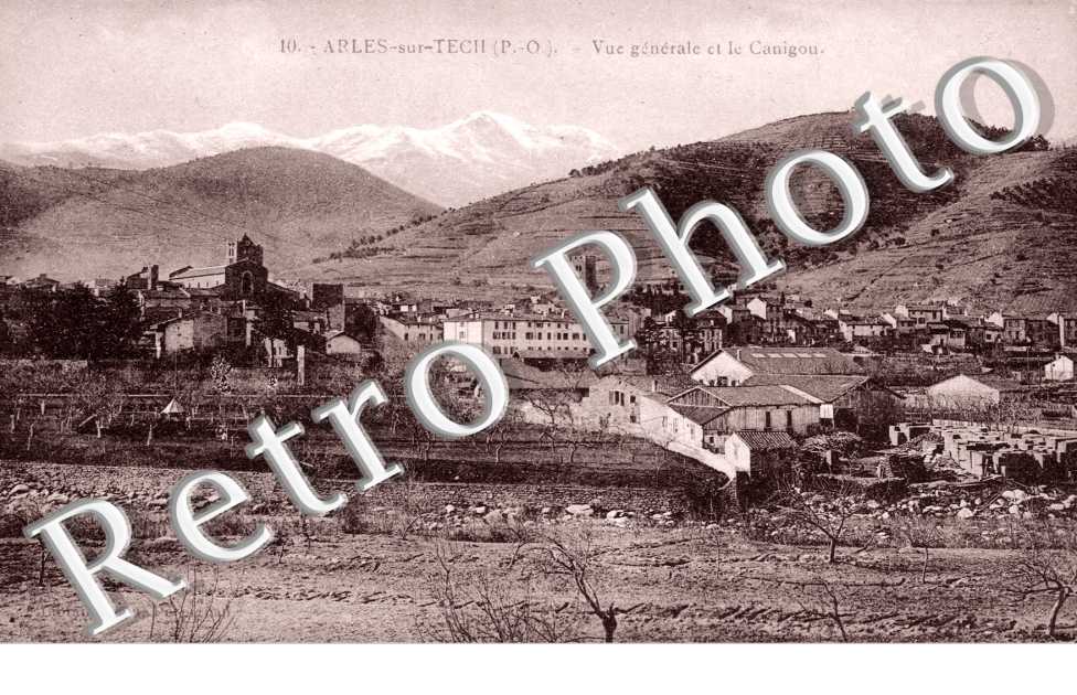 Vue generale et le canigou