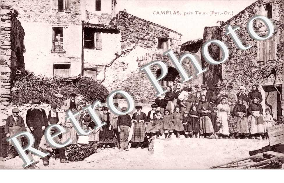 Camelas