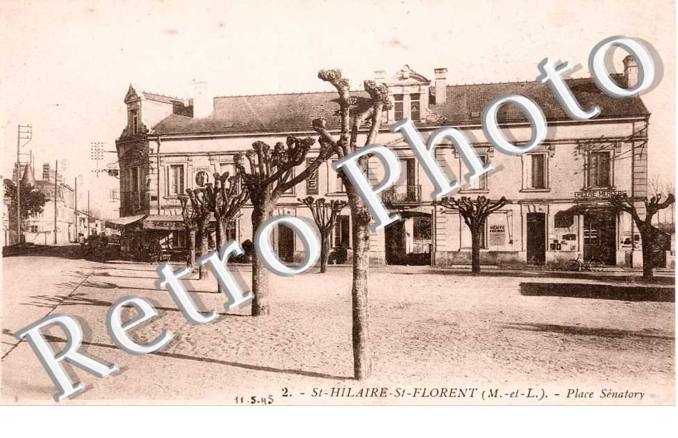 place SENATORY