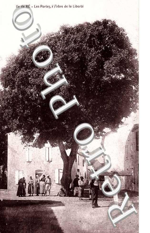 L'arbre de la liberte