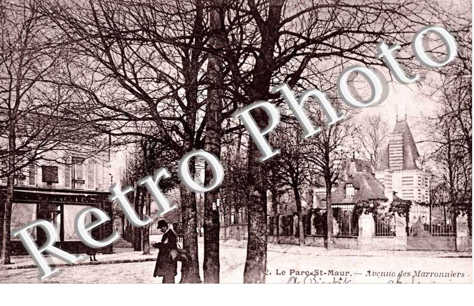 avenue DES MARRONNIERS