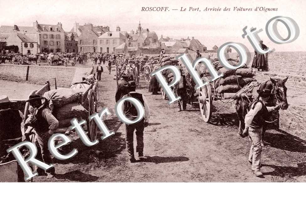 Le Port - l'Arrivée des Voitures d'Oignons