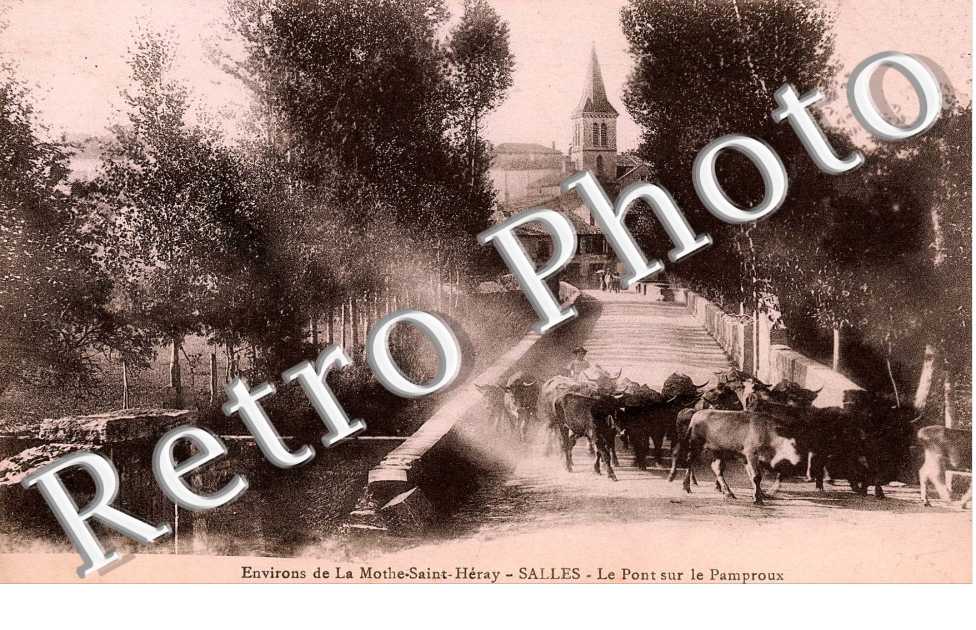Environs de la Motte St Heray.Le pont de pamproux