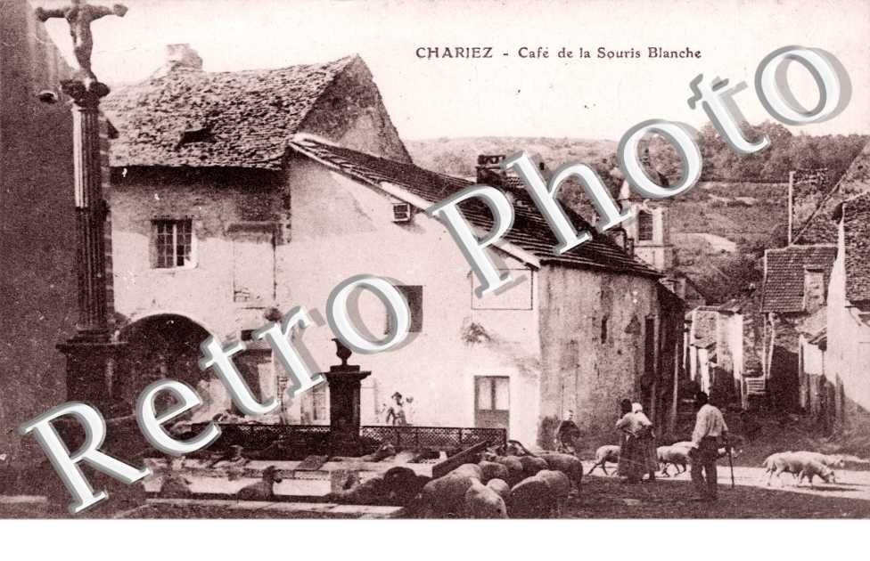 cafe de la Souris Blanche