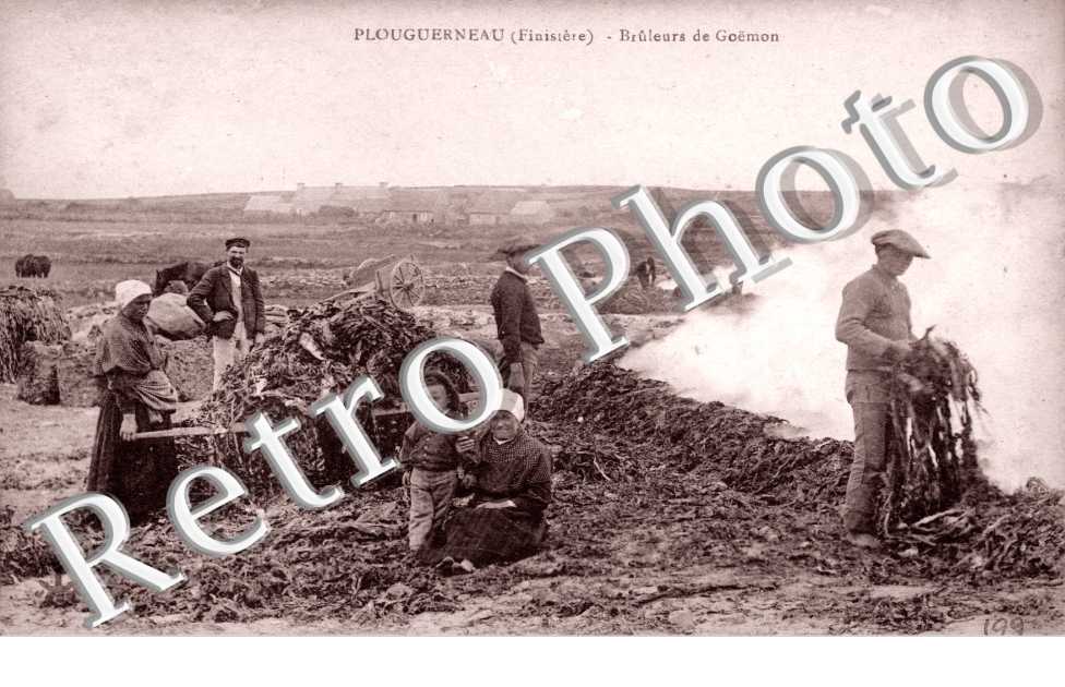 bruleurs de Goëmon