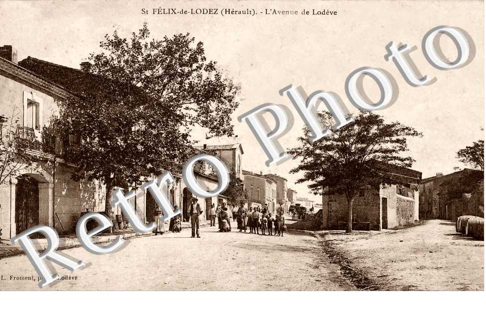 L'avenue de Lodeve