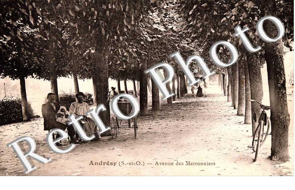 avenue des Marronniers