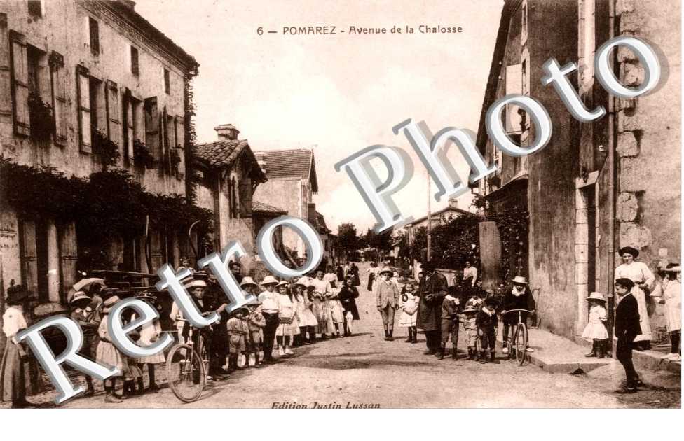 Avenue de la Chalosse