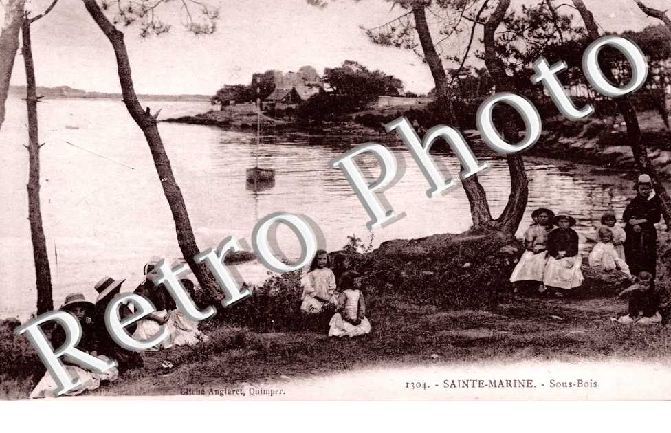 Sous Bois a Sainte Marine