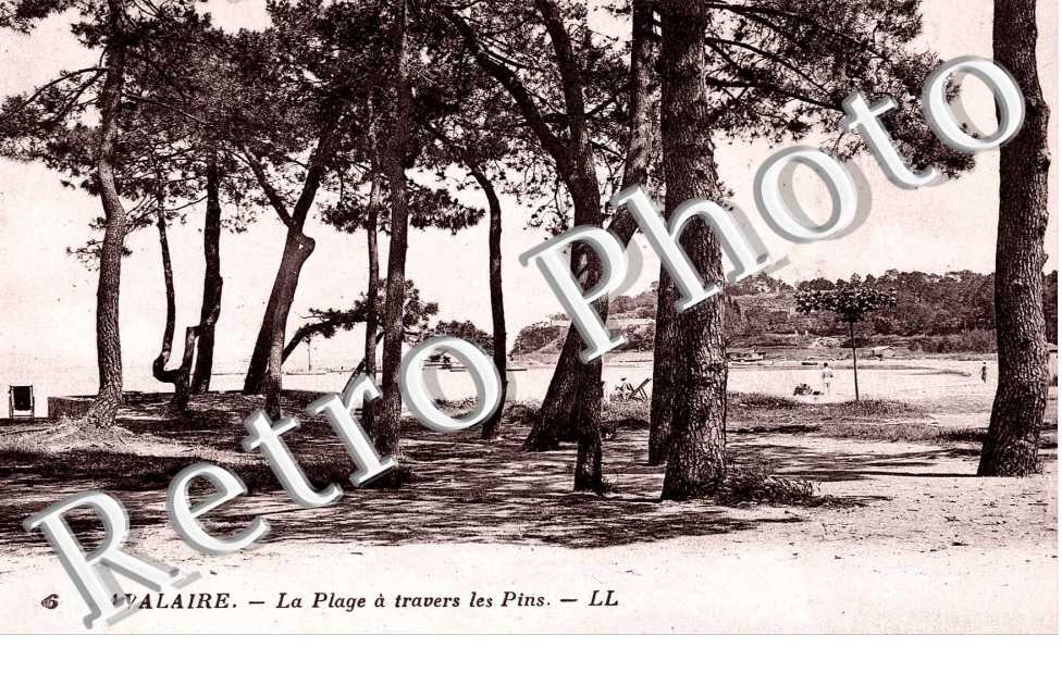 La plage a travers les pins