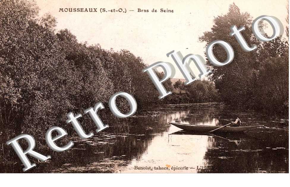 Bras de Seine