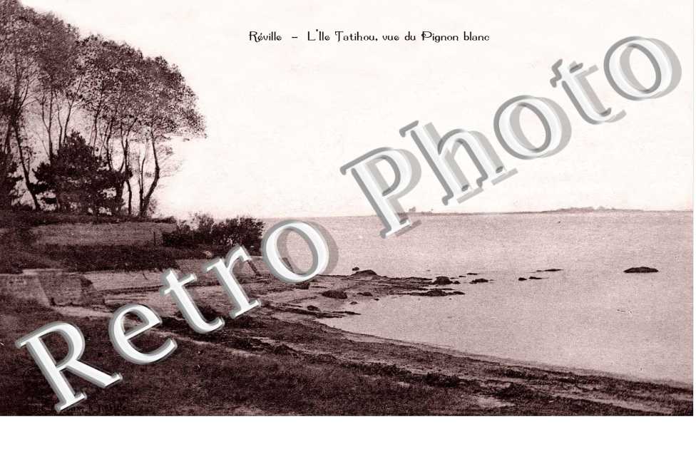 L'ile Tatihou vue du Pignon blanc