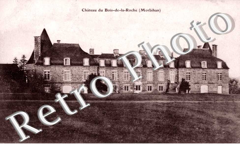 Chateau du bois de la Roche