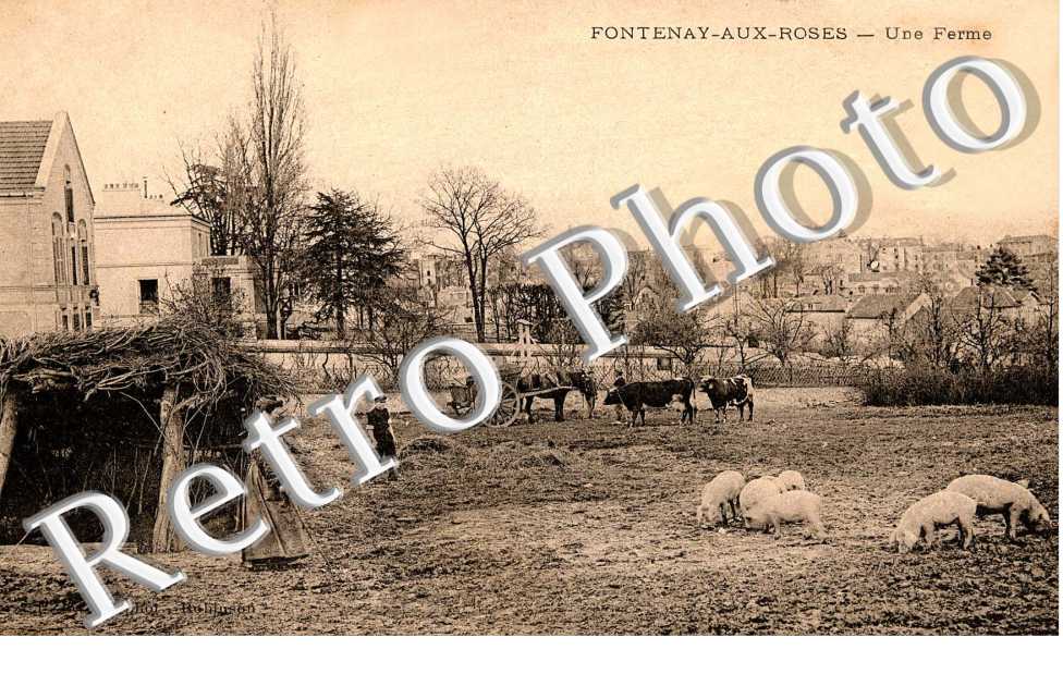 Une ferme - elevage
