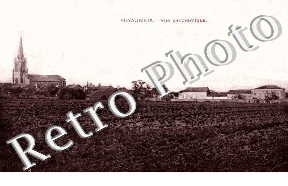 vue panoramique