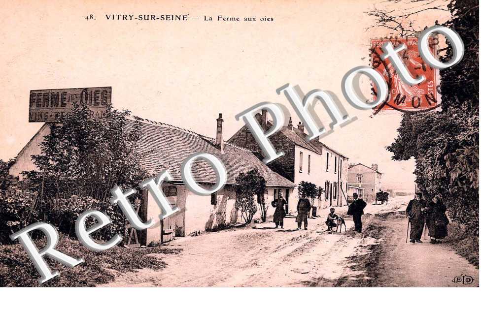 la ferme aux oies