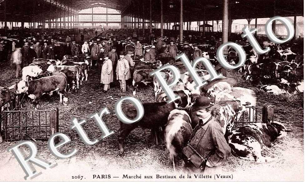 Les Abattoirs de la Villette