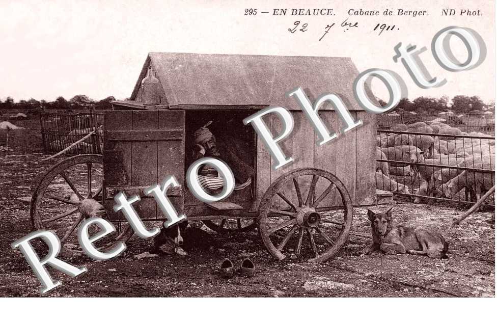 Cabane de berger
