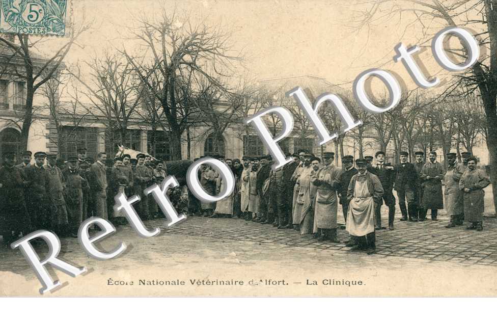 école vétérinaire. La clinique
