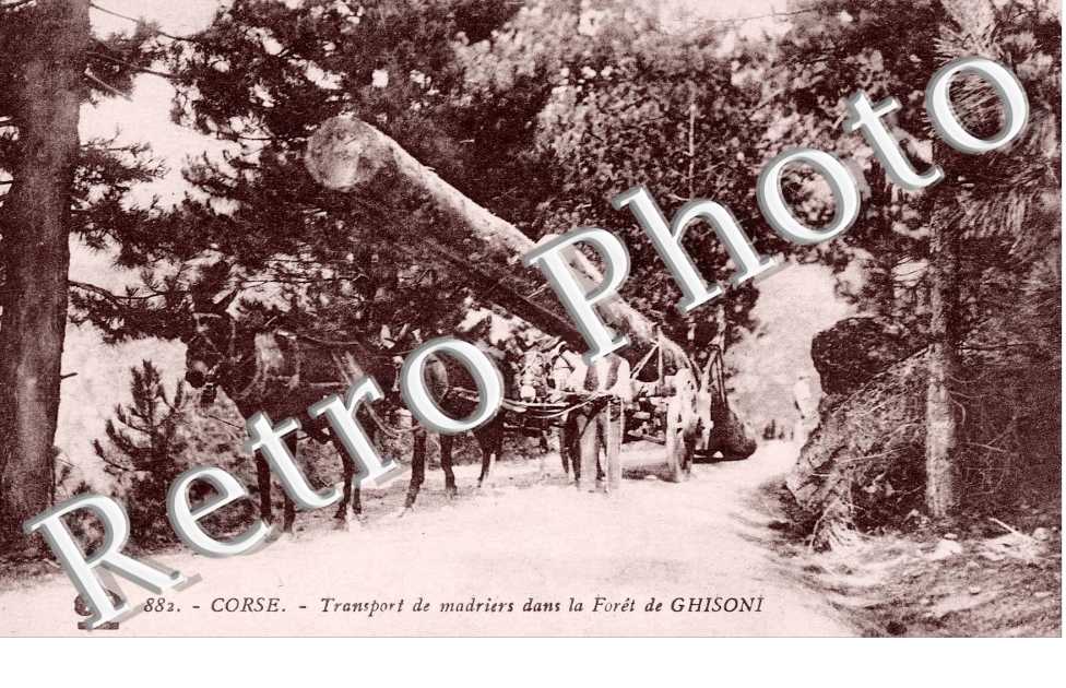 Transport de madriers dans la foret