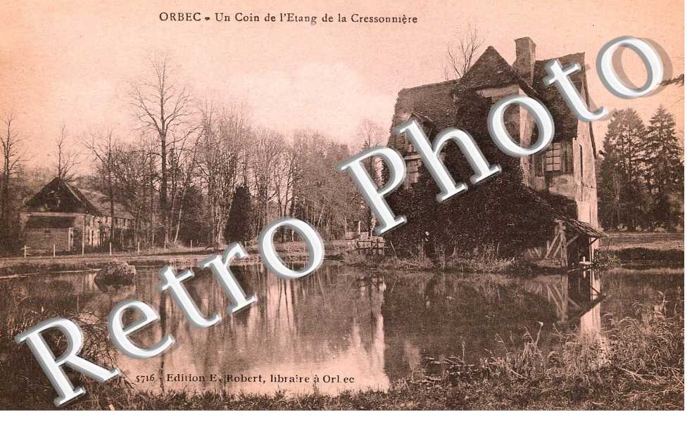 Un coin de l'Etang de la Cressonniere