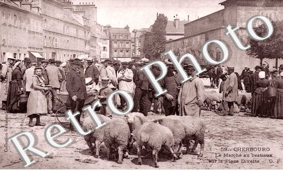 Marché aux bestiaux sur la place Divette