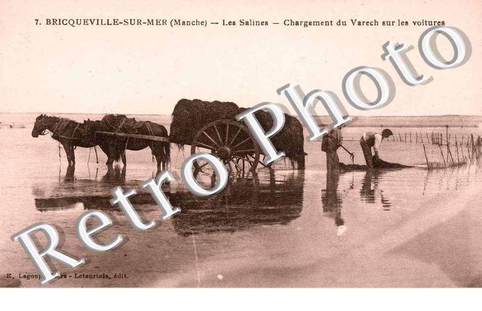 les Salines, chargement du varech sur les voitures