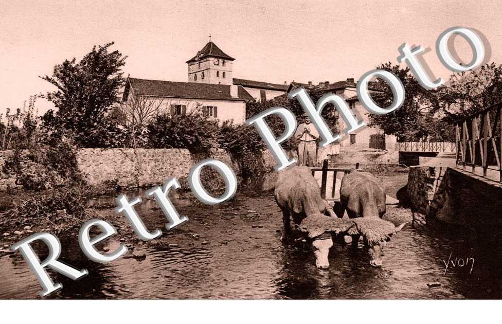Attelage basque - agriculture