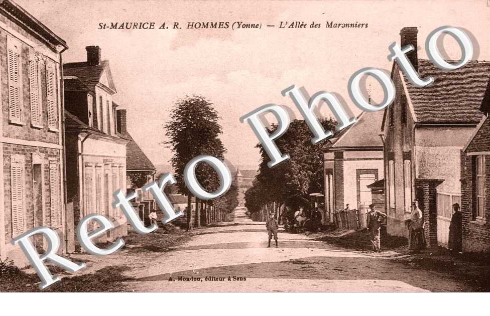 L'allee des Maronniers