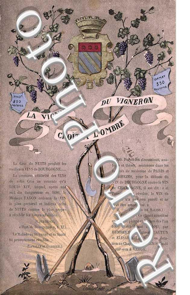 carte publicite sur les vins et vignes de Nuit St Georges