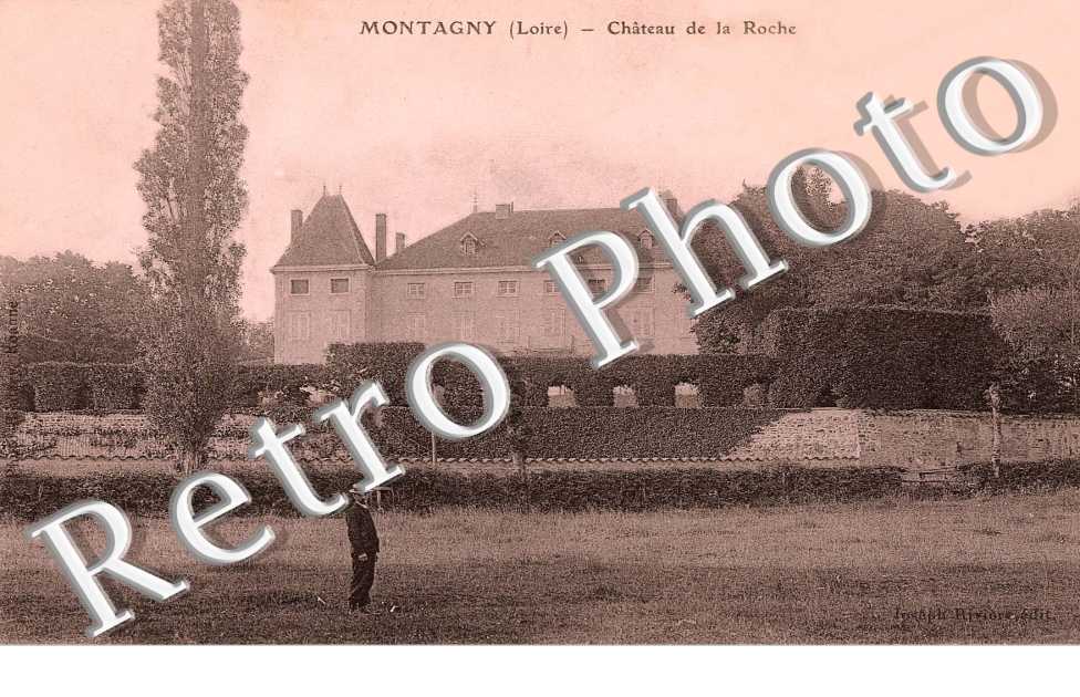 chateau de la Roche