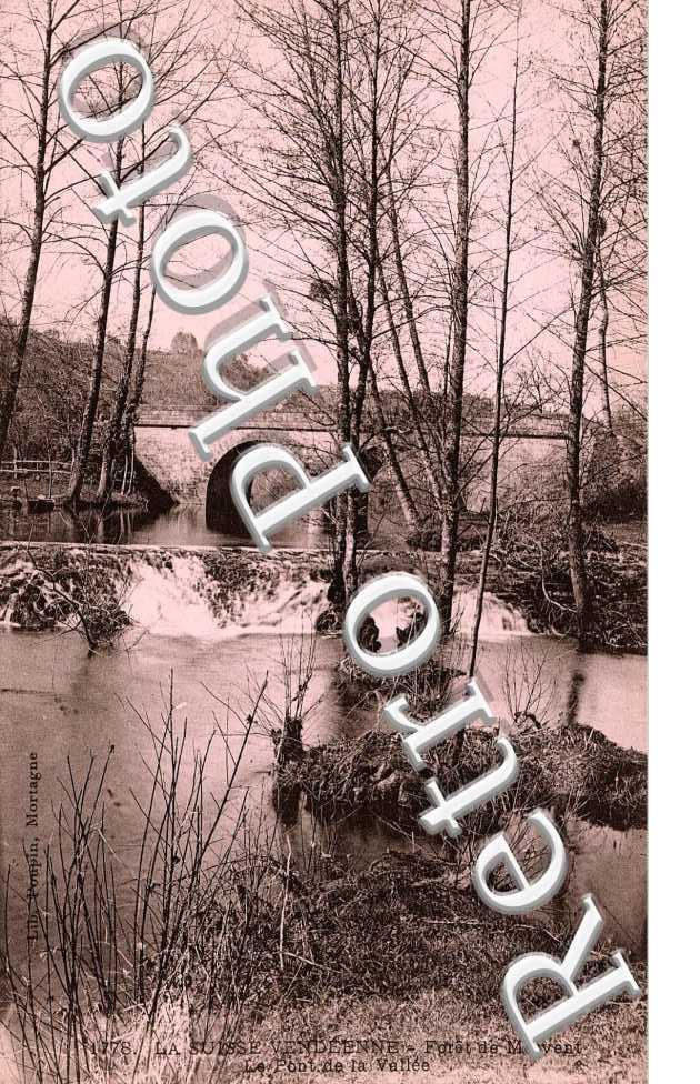 Foret - Pont de la vallee