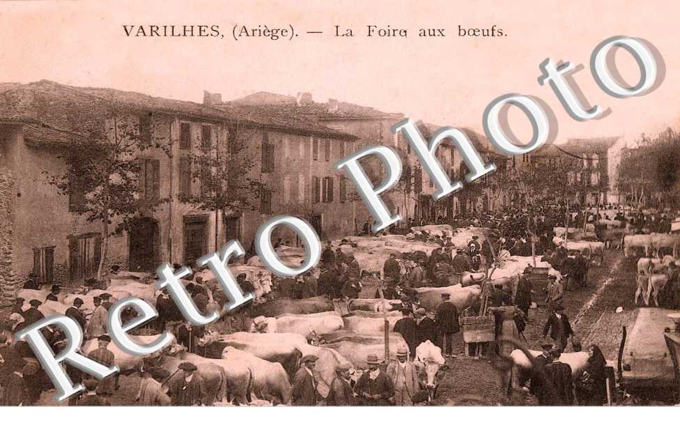 La foire aux boeufs