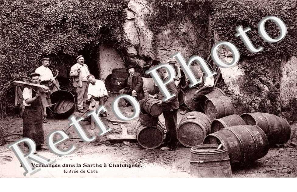 Les vendanges - entree de cave