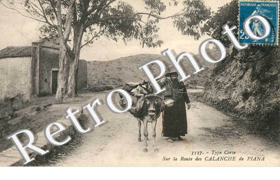 sur la route des calanche de piana (ane)