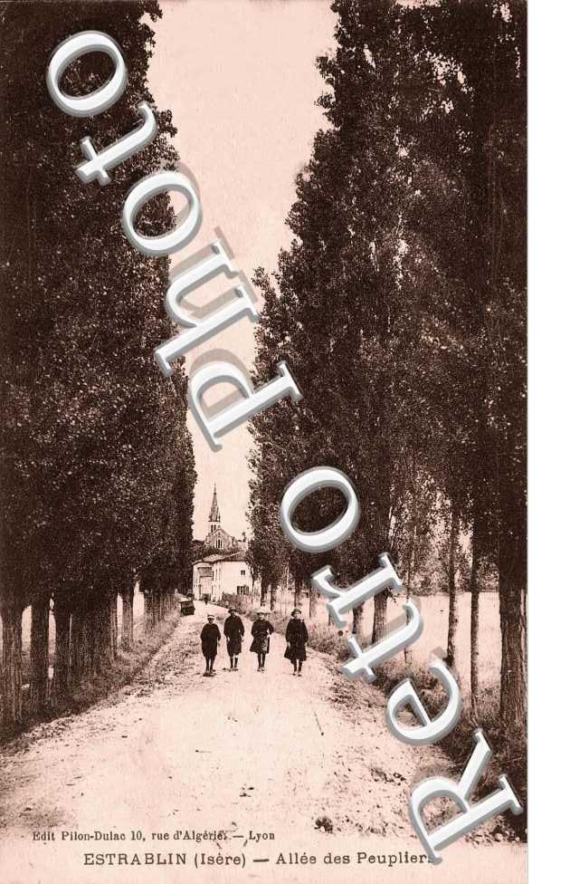 Allee des Peupliers